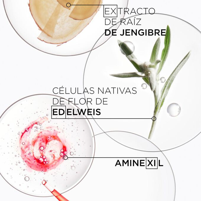 Ingredientes Champu génesis Kérastase 