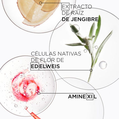 Ingredientes Champu génesis Kérastase 