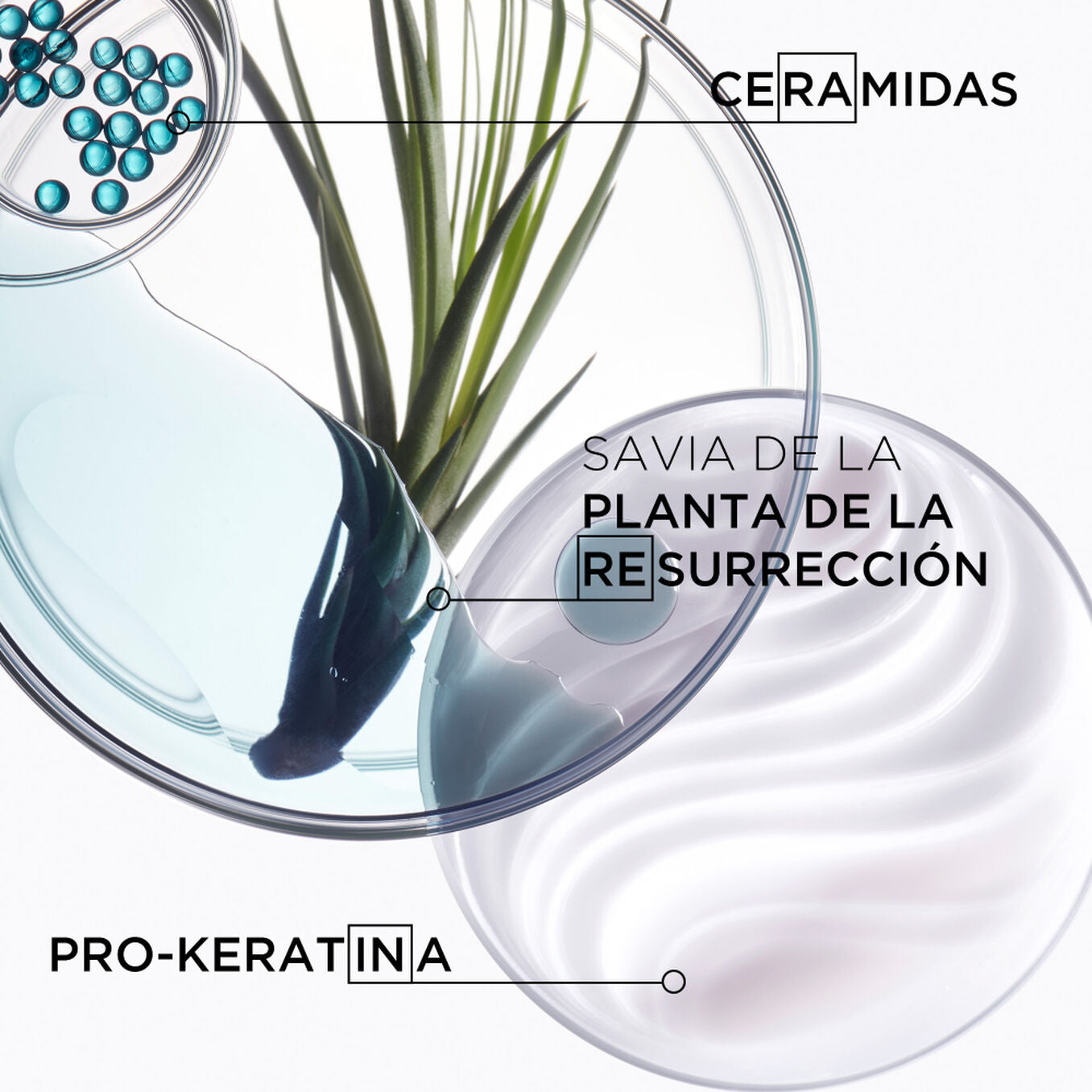 Ingredientes Champú reparador kerastase