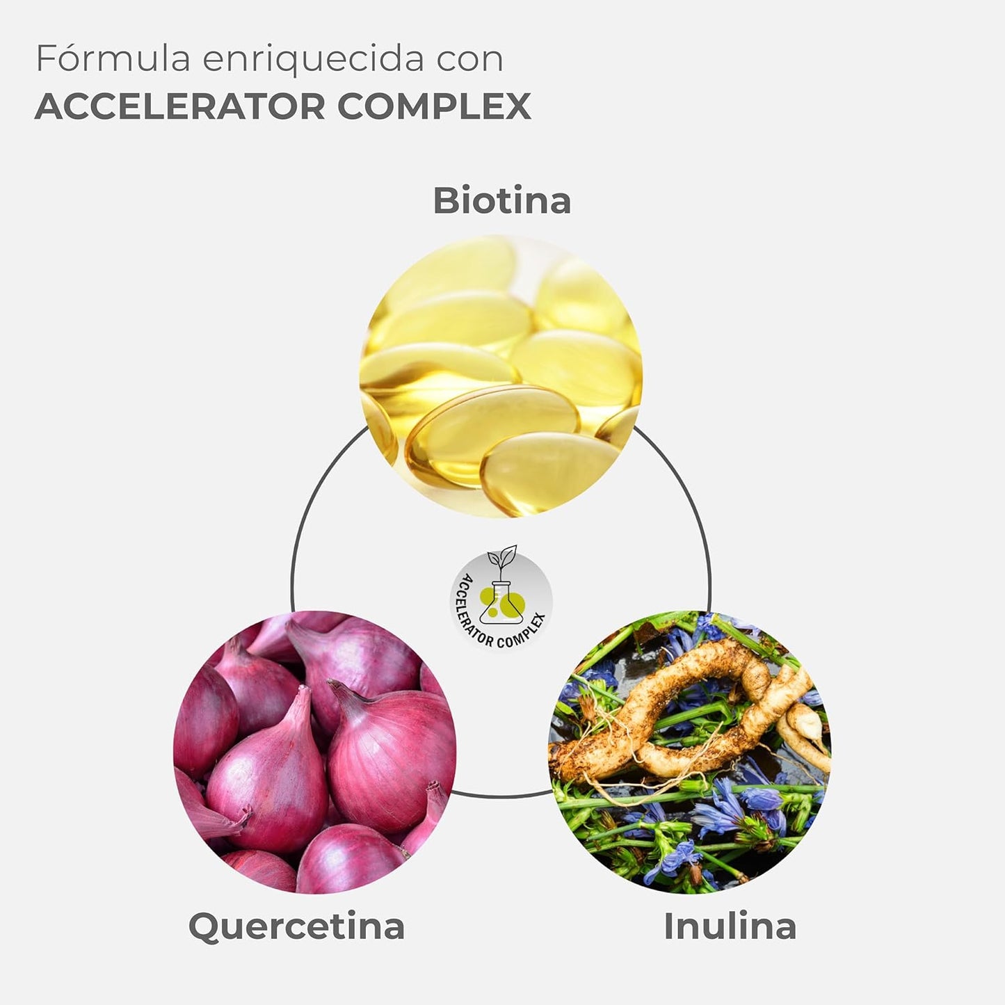 Formula enriquecida con Biotina-Quercetina-Inulina