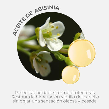 Beneficios Aceite de abisinia en Acondicionador sin aclarado 