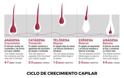 Champú anti caída capilar - Novalia Cosmetics